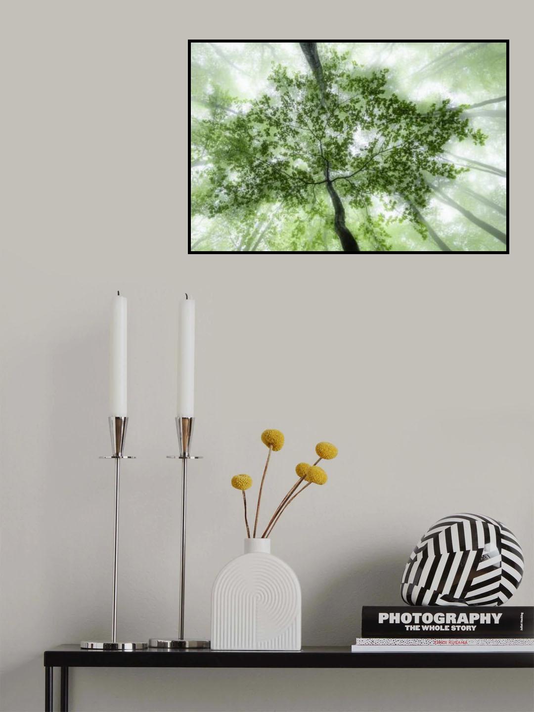Green forest Poster och Canvastavla