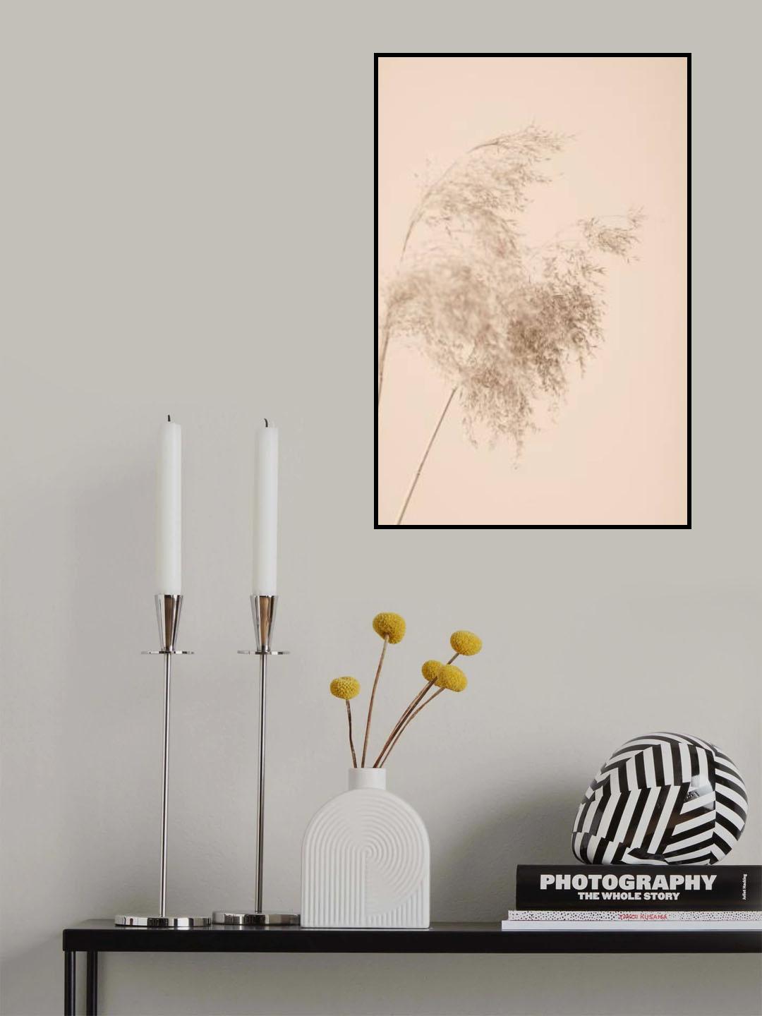 Reed Grass Beige 04 Poster och Canvastavla