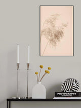 Reed Grass Beige 04 Poster och Canvastavla