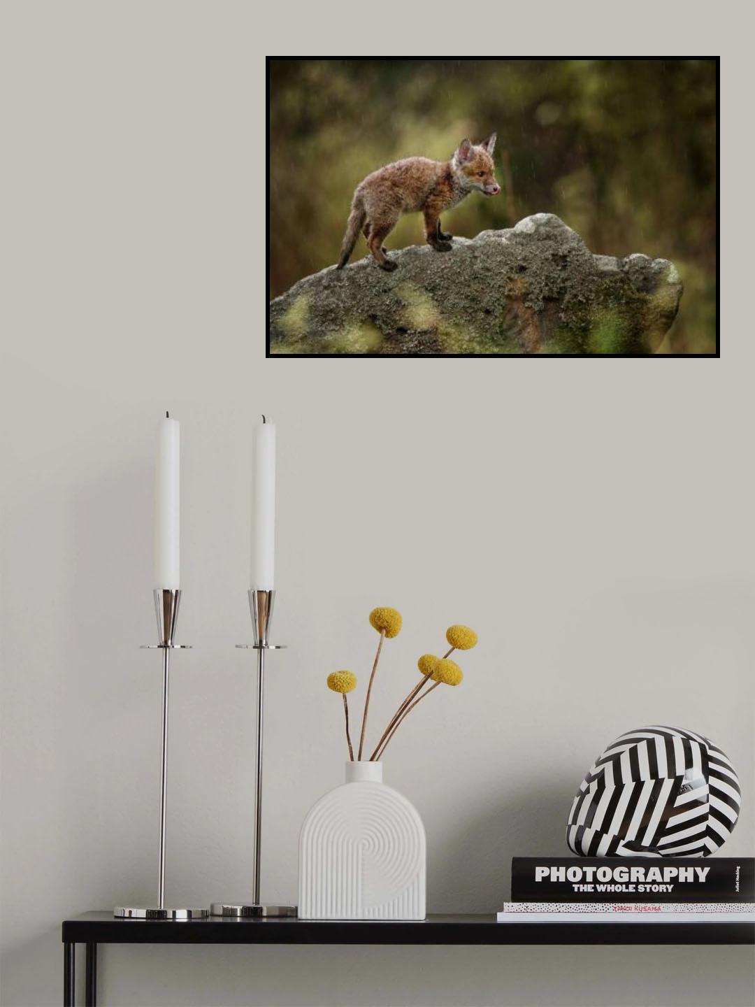 Rainy day Poster och Canvastavla
