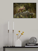 Rainy day Poster och Canvastavla