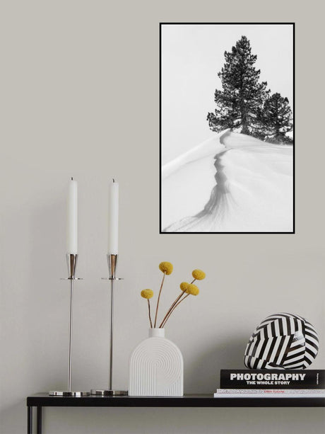 About the snow and forms Poster och Canvastavla
