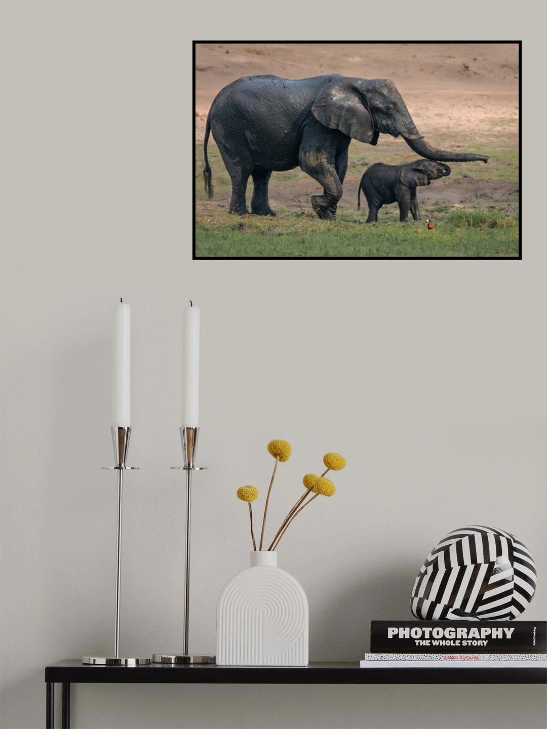 Boy, Let's Go To The River Poster och Canvastavla