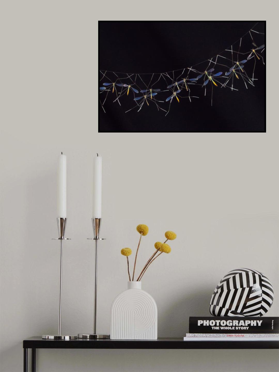 Hanging Cranefly Poster och Canvastavla