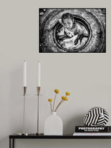 The girl in the tire Poster och Canvastavla