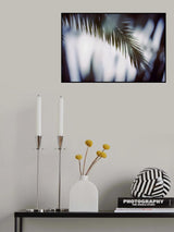 Palm Branches Poster och Canvastavla