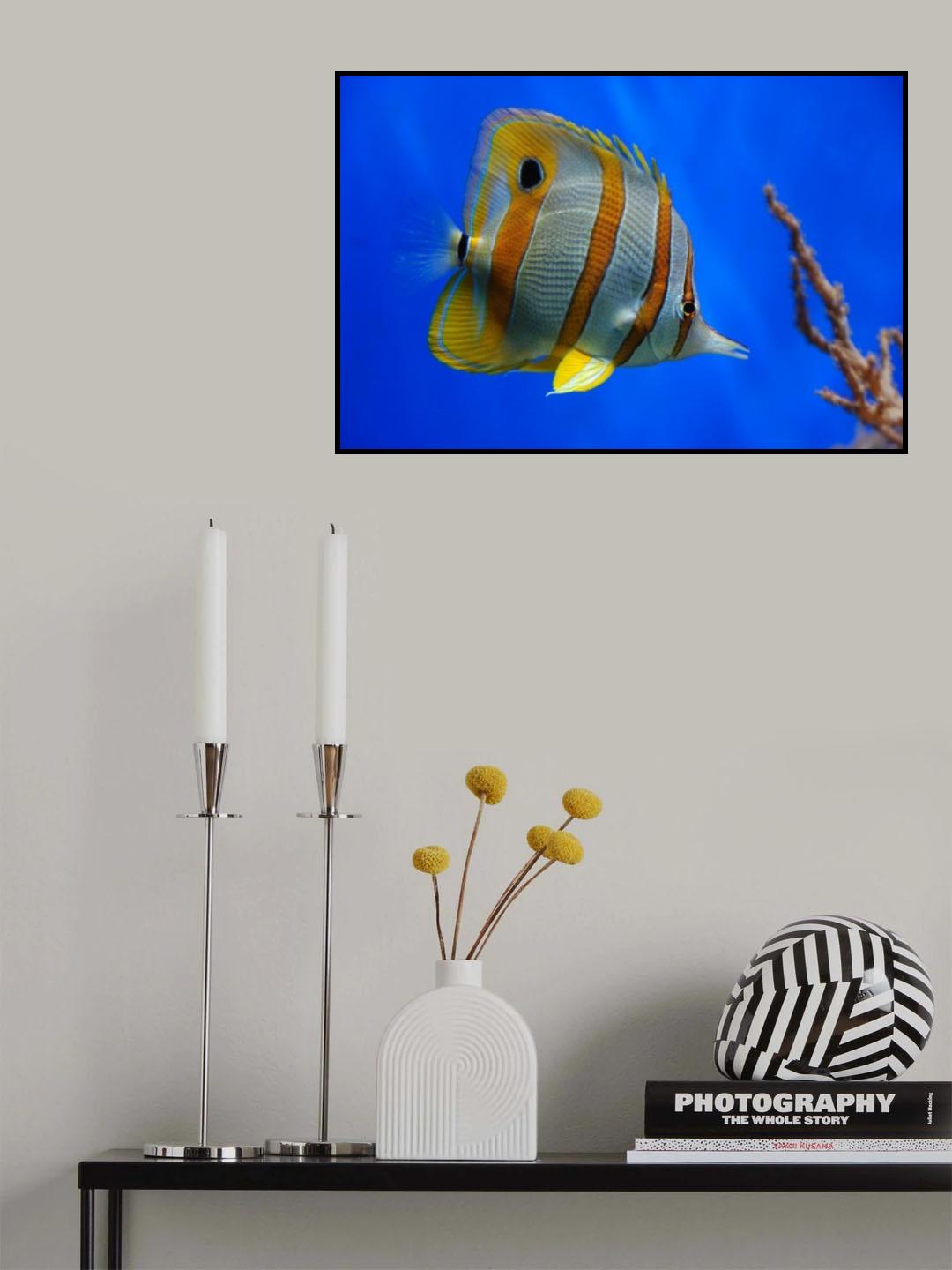 Tropical Beauty Poster och Canvastavla