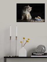 CatDinner Poster och Canvastavla