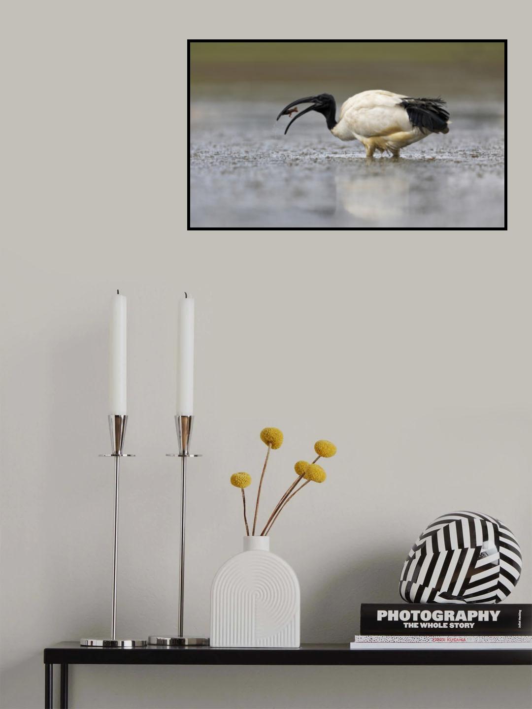 la preda Poster och Canvastavla