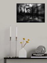 Poster och Canvastavla