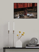 Poster och Canvastavla
