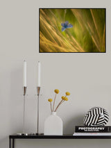 Silvery Blue Poster och Canvastavla