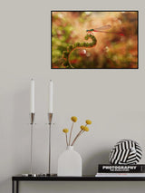 Bokeh Sprinkled Poster och Canvastavla