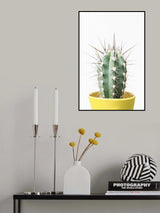 Spikey Cactus Poster och Canvastavla
