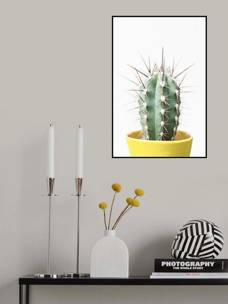 Spikey Cactus Poster och Canvastavla
