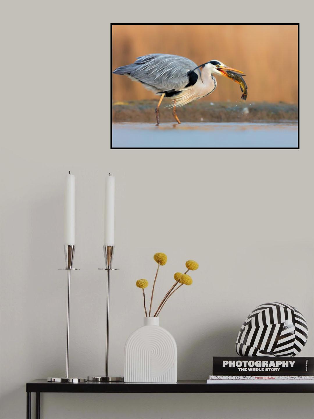 Gotcha Poster och Canvastavla