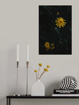 Yellow Flower Poster och Canvastavla