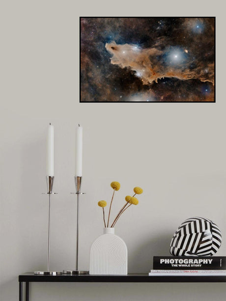 The Shark Poster och Canvastavla