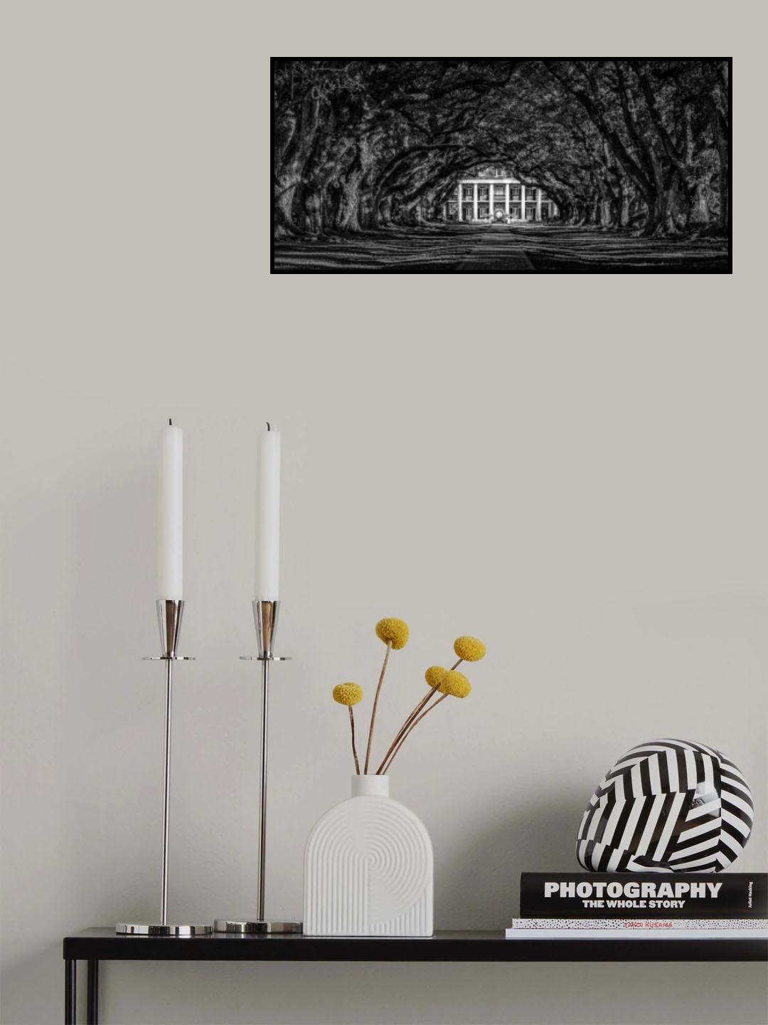 Oak Alley Poster och Canvastavla