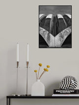The butterfly Poster och Canvastavla