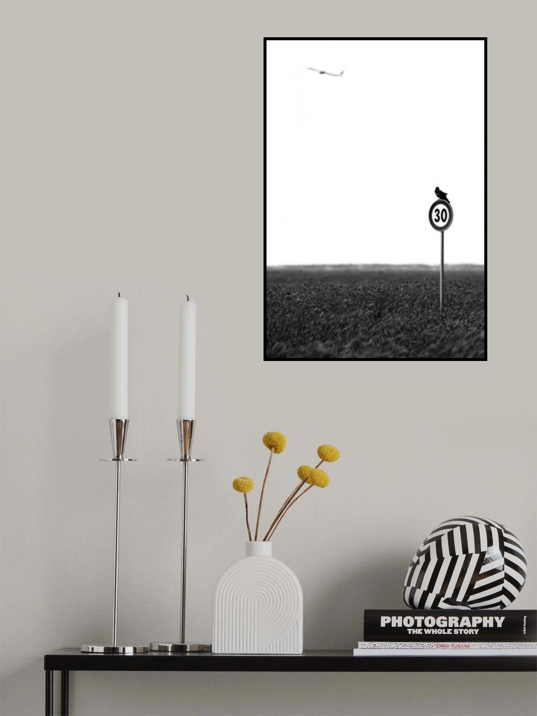 envy Poster och Canvastavla