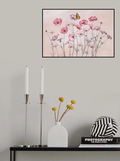 Cosmos and Butterfly Poster och Canvastavla