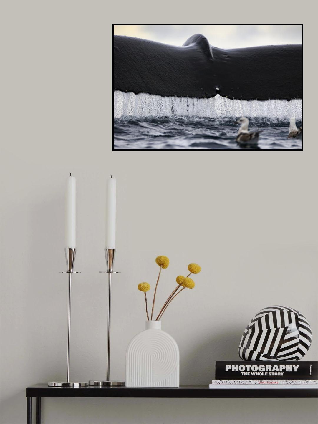 Waterfall Poster och Canvastavla