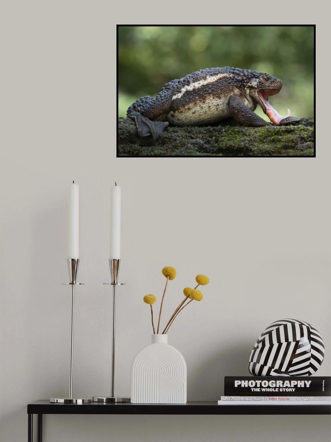 Gotcha Poster och Canvastavla