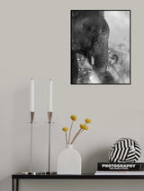 0009 Poster och Canvastavla