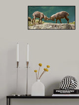 Rock Rut Poster och Canvastavla