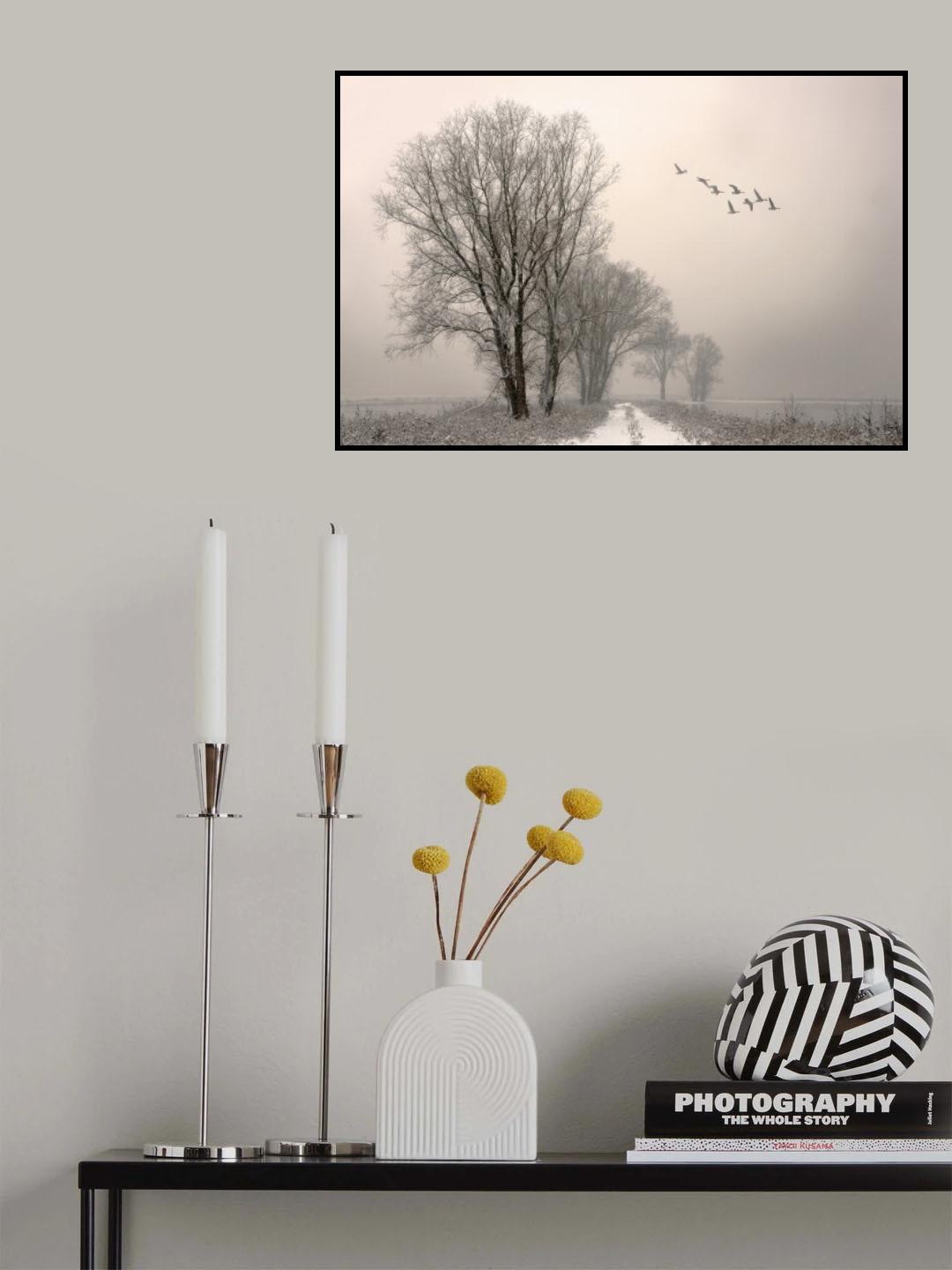 Winterlight Poster och Canvastavla