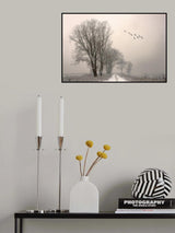 Winterlight Poster och Canvastavla