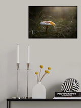 Autumn... Poster och Canvastavla