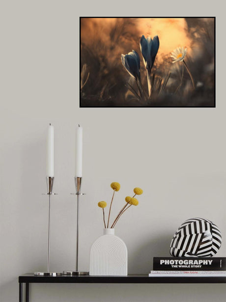 The magic beneath our feet Poster och Canvastavla