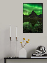 Blaze of Beauty Poster och Canvastavla