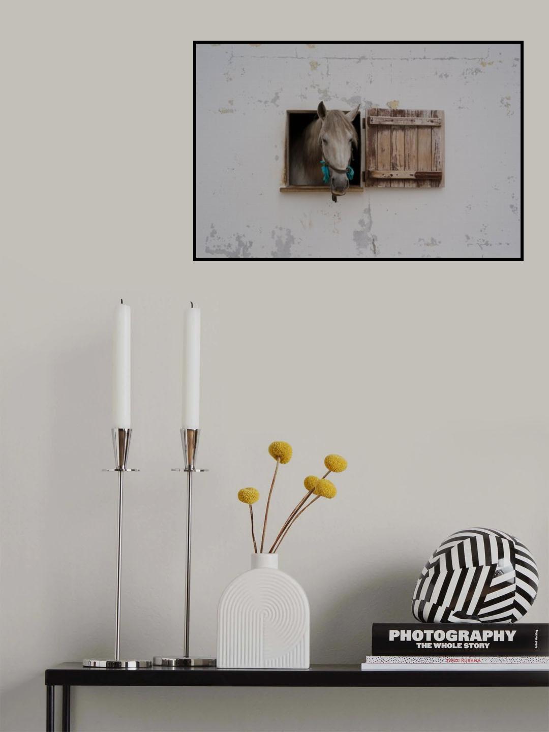 Ventania Poster och Canvastavla