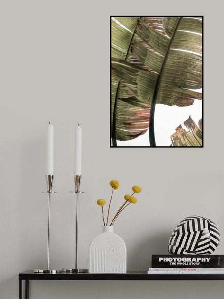 Gold Leaf Poster och Canvastavla