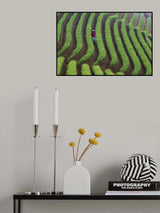 the Shallot park Poster och Canvastavla