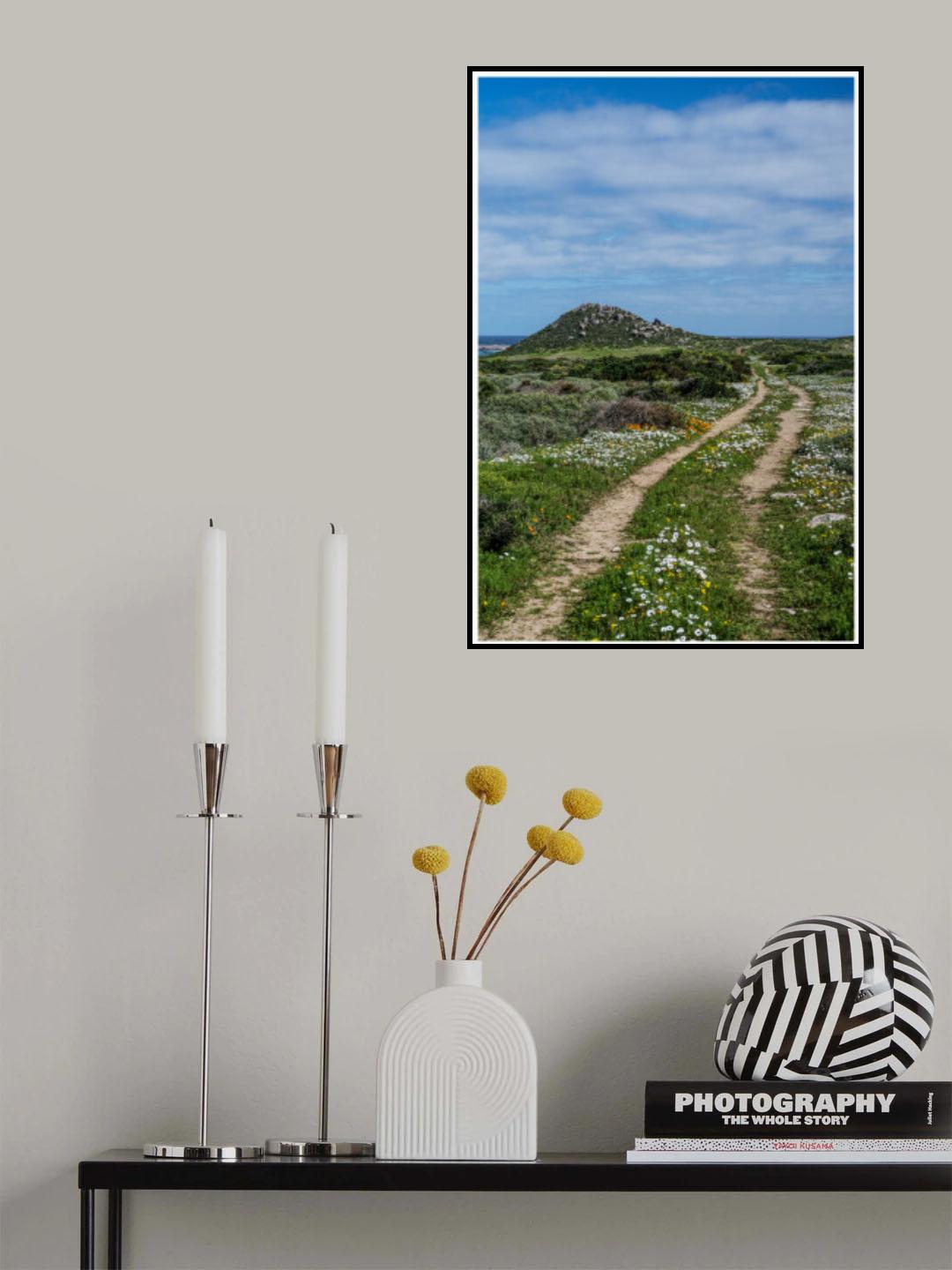 Daisy Path Poster och Canvastavla