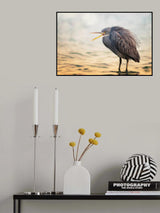 Reef Heron Poster och Canvastavla