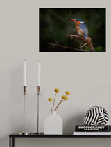 Martin... Poster och Canvastavla