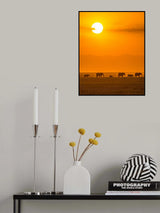 Elephants at Sunset Poster och Canvastavla