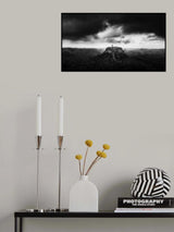 A Natural Disaster Poster och Canvastavla