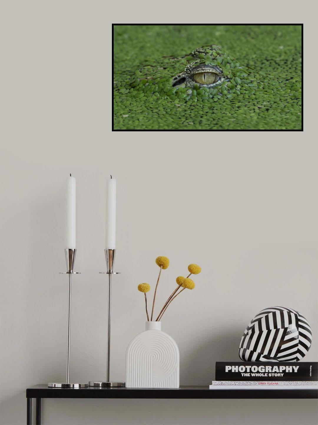 Only Eye Poster och Canvastavla