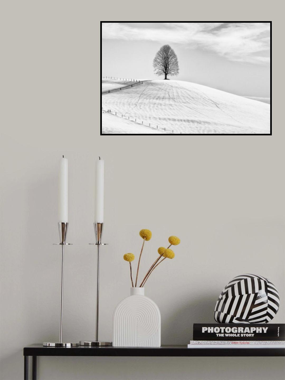 Single tree Poster och Canvastavla