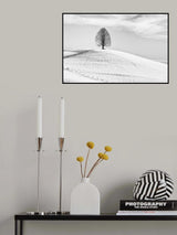 Single tree Poster och Canvastavla