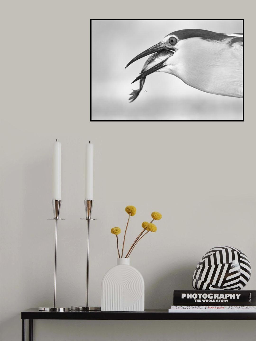 eyes Poster och Canvastavla