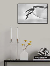 eyes Poster och Canvastavla