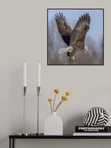 Lunch in the air Poster och Canvastavla