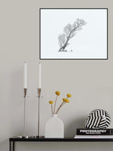 Lone Tree in Winter (Black/White) Poster och Canvastavla